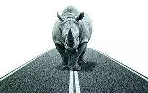 臣通觀點丨小心，中國產(chǎn)業(yè)園區(qū)的“灰犀?！庇謥砹?！